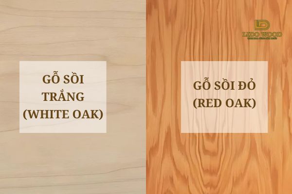 Gỗ sồi nhập khẩu Nga có mấy loại?