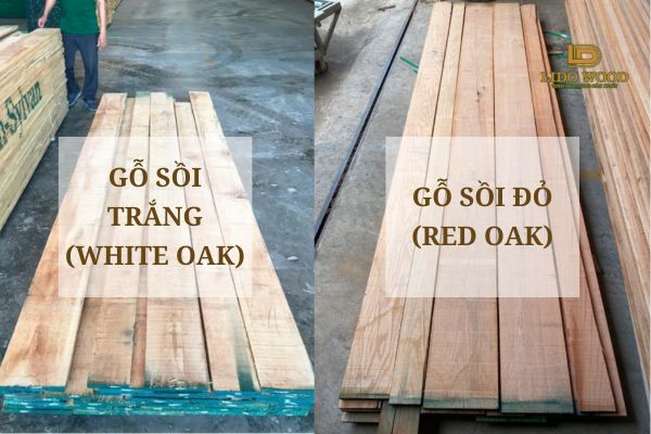 Gỗ sồi nhập khẩu có mấy loại?