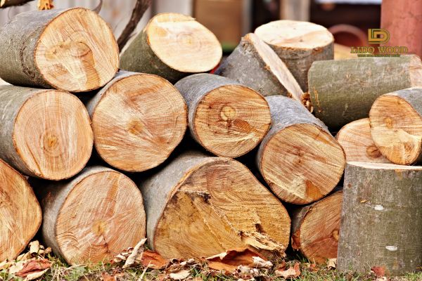 Gỗ sồi nhập khẩu có tốt không?