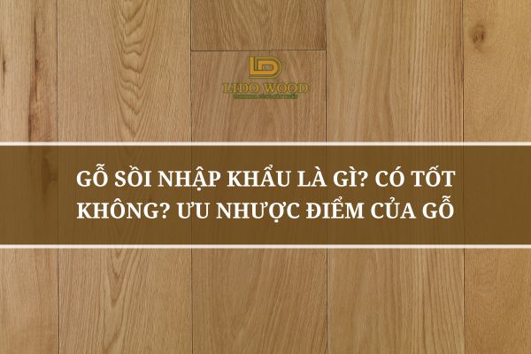 Gỗ Sồi Nhập Khẩu Là Gì? Có Tốt Không? Ưu Nhược Điểm Của Gỗ