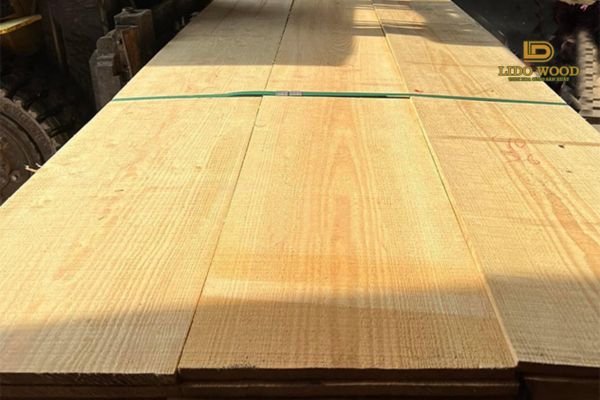 Đặc điểm nổi bật của loại gỗ này