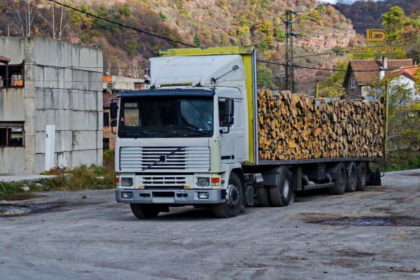 Thủ tục nhập khẩu gỗ tần bì