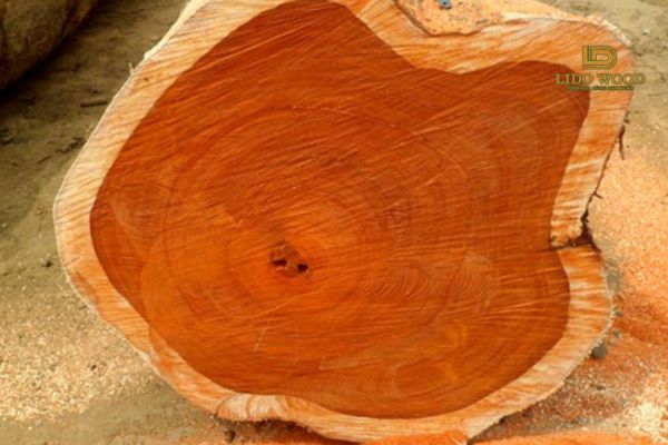 Cách bảo quản gỗ Tếch nhập khẩu