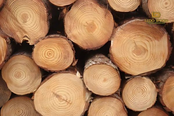 Ưu điểm của gỗ thông nhập khẩu