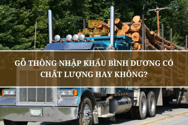 Gỗ Thông Nhập Khẩu Bình Dương Có Chất Lượng Hay Không?