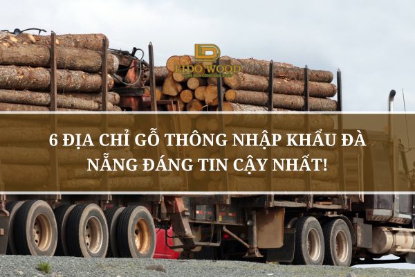 6 Địa Chỉ Gỗ Thông Nhập Khẩu Đà Nẵng Đáng Tin Cậy Nhất!