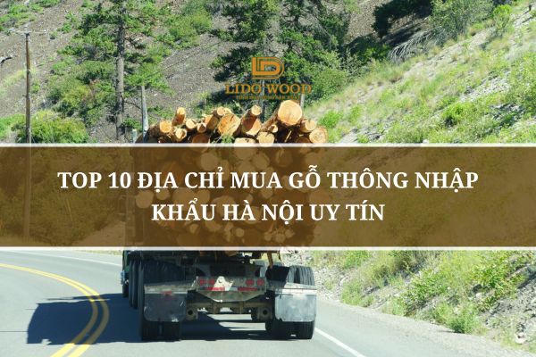 Top 10 Địa Chỉ Mua Gỗ Thông Nhập Khẩu Hà Nội Uy Tín