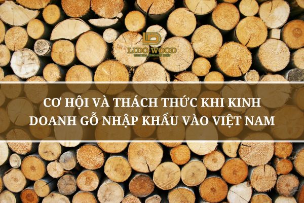 Cơ Hội Và Thách Thức Khi Kinh Doanh Gỗ Nhập Khẩu Vào Việt Nam