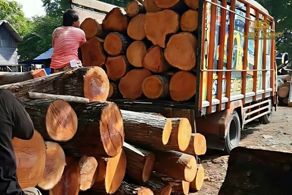 Những yếu tố ảnh hưởng đến giá gỗ nhập khẩu