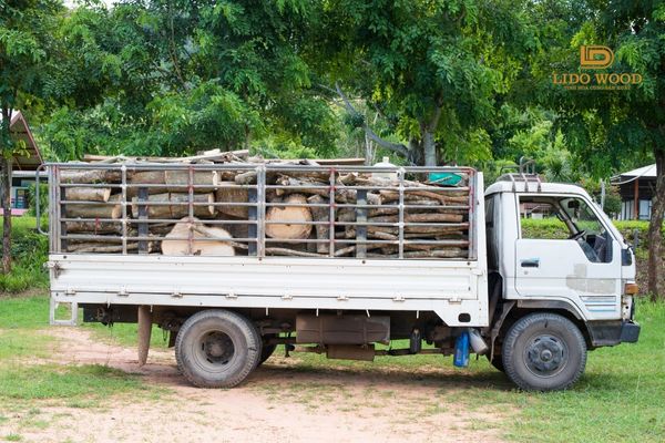 Giá gỗ nhập khẩu từ Lào sang Việt Nam bao nhiêu?