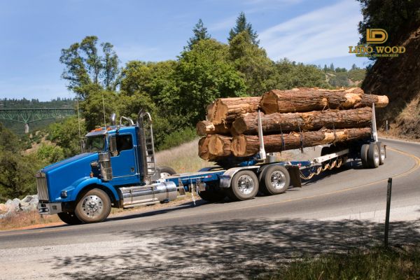 Quy trình nhập khẩu gỗ từ Lào