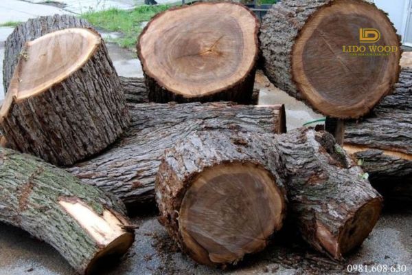 Tổng quan gỗ óc chó nhập khẩu