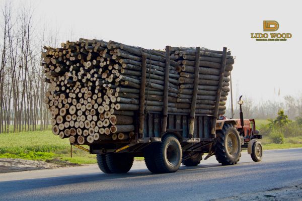 Các yếu tố ảnh hưởng đến giá gỗ óc chó ngoại nhập