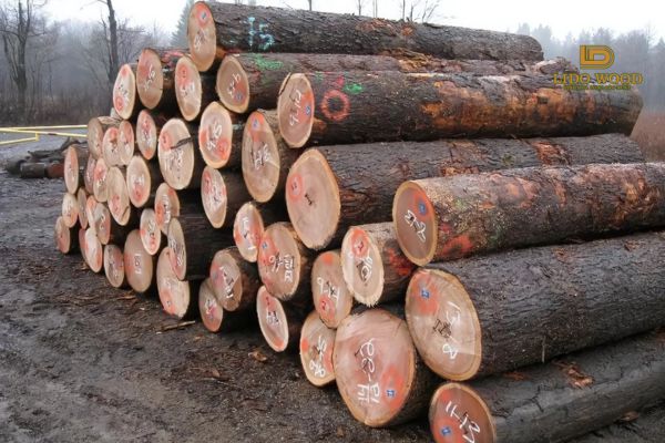 Các yếu tố ảnh hưởng đến giá gỗ sồi nhập khẩu