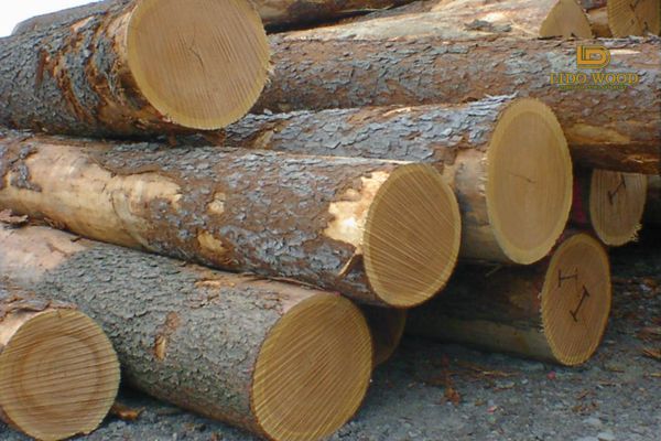 Bảng giá gỗ sồi nhập khẩu mới nhất