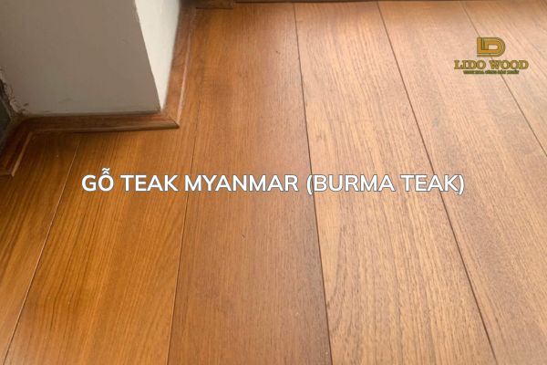 Gỗ Teak Myanmar (Burma Teak)