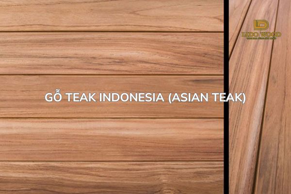 Gỗ Teak Indonesia (Asian Teak)