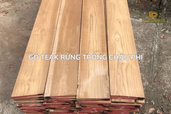 Gỗ Teak rừng trồng Châu Phi