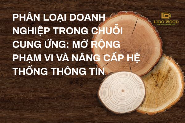 Phân loại doanh nghiệp trong chuỗi cung ứng: Mở rộng phạm vi và nâng cấp hệ thống thông tin