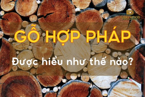 Làm rõ khái niệm "gỗ hợp pháp"