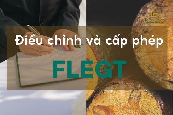 Điều chỉnh về cấp phép FLEGT