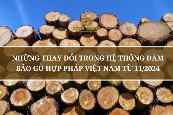 Cập Nhật Mới: Những Thay Đổi Quan Trọng Trong Hệ Thống Đảm Bảo Gỗ Hợp Pháp Việt Nam Từ 11/2024