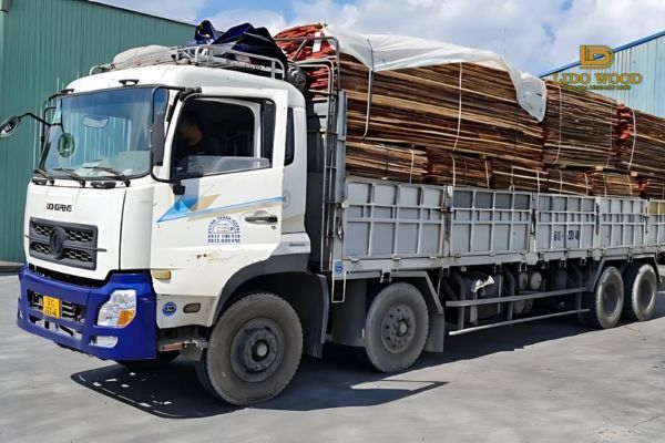 Các bước chính trong quy trình nhập khẩu gỗ thông