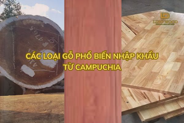 Các loại gỗ phổ biến nhập khẩu từ Campuchia