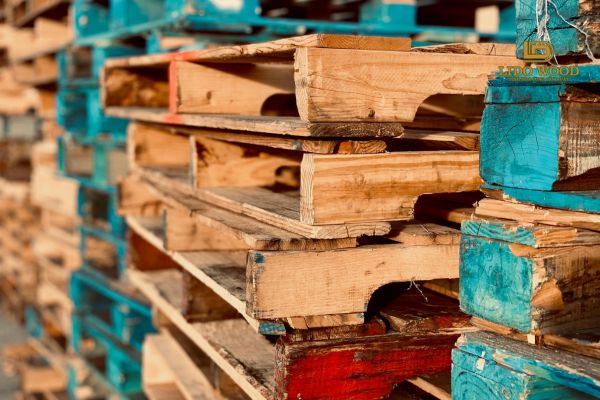 Những lưu ý quan trọng khi nhập pallet gỗ