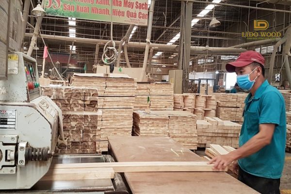 Tổng quan thị trường gỗ nhập khẩu tại Việt Nam năm 2025