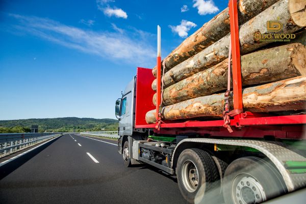 Việt Nam đang nhập khẩu gỗ từ những quốc gia nào?