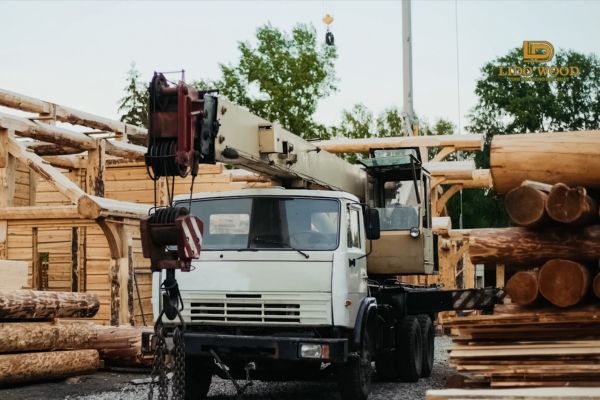Thủ tục và hồ sơ nhập khẩu gỗ