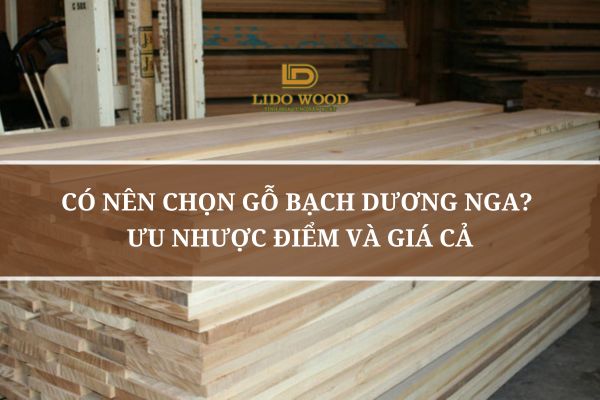 Có Nên Chọn Gỗ Bạch Dương Nga? Ưu Nhược Điểm Và Giá Cả