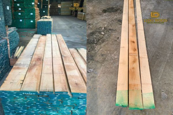 Lời khuyên khi lựa chọn và sử dụng sồi Bắc Phi