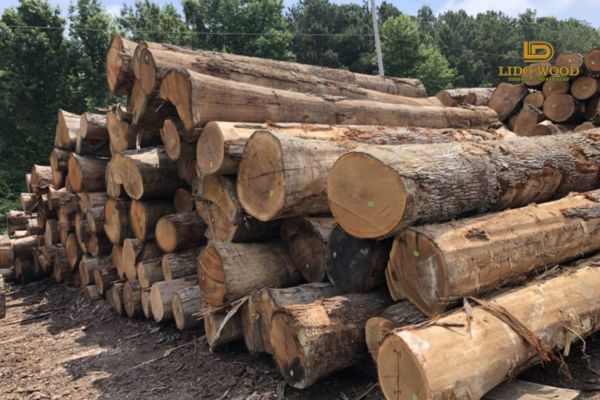 Ưu điểm nổi bật của gỗ sồi Canada