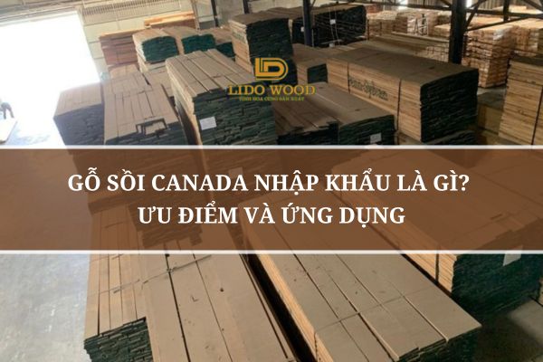 Gỗ Sồi Canada Nhập Khẩu Là Gì? Ưu Điểm Và Ứng Dụng