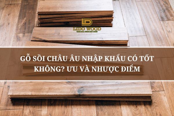 Gỗ Sồi Châu Âu Nhập Khẩu Có Tốt Không? Ưu Và Nhược Điểm