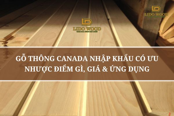 Gỗ Thông Canada Nhập Khẩu Có Ưu Nhược Điểm Gì, Giá & Ứng Dụng