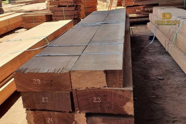 Đặc điểm nổi bật gỗ thông Uruguay