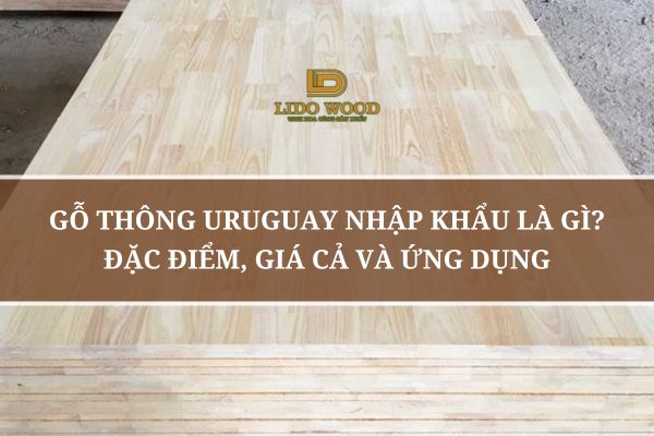 Gỗ Thông Uruguay Nhập Khẩu Là Gì? Đặc Điểm, Giá Cả Và Ứng Dụng