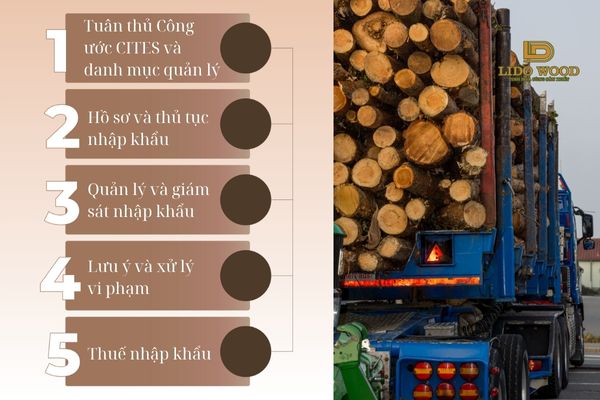 Quy định pháp lý liên quan đến nhập khẩu gỗ từ Lào