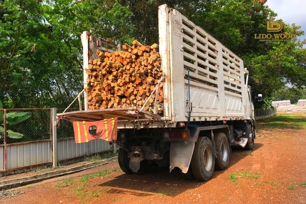 Những lưu ý khi nhập khẩu gỗ từ Lào