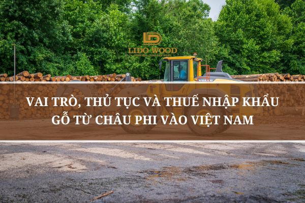 Vai Trò, Thủ Tục Và Thuế Nhập Khẩu Gỗ Từ Châu Phi Vào Việt Nam