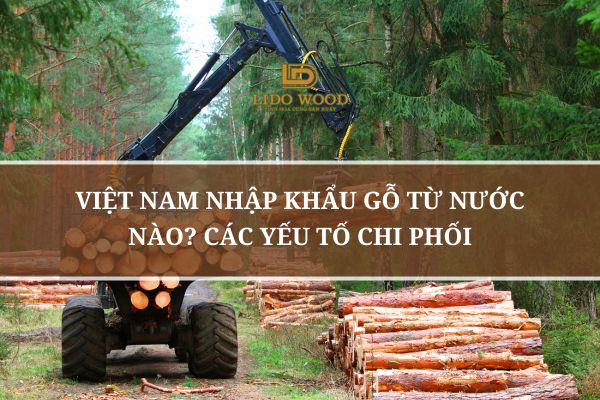 Việt Nam Nhập Khẩu Gỗ Từ Nước Nào? Các Yếu Tố Chi Phối