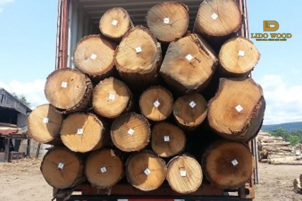 Gỗ bạch dương Bắc Mỹ nhập khẩu là gì?