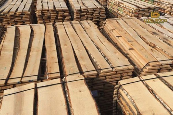 Bảng giá gỗ bạch dương Bắc Mỹ