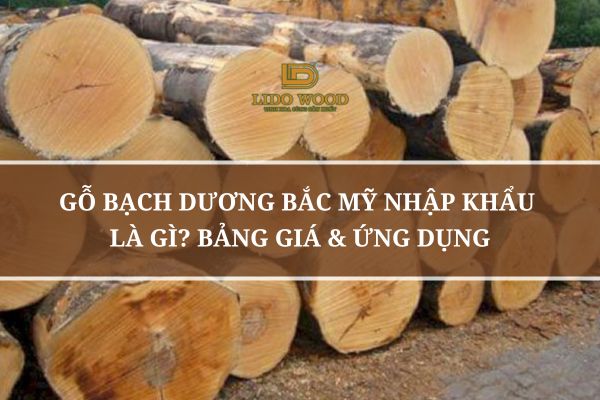 Gỗ Bạch Dương Bắc Mỹ Nhập Khẩu Là Gì? Bảng Giá & Ứng Dụng