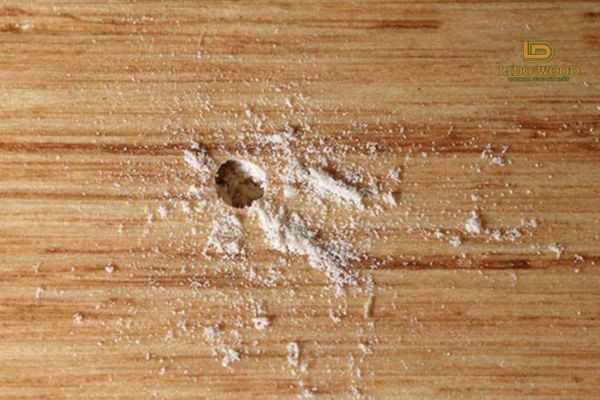 Nhược điểm của gỗ bạch dương nhập khẩu