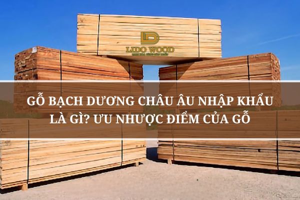 Gỗ Bạch Dương Châu Âu Nhập Khẩu Là Gì? Ưu Nhược Điểm Của Gỗ