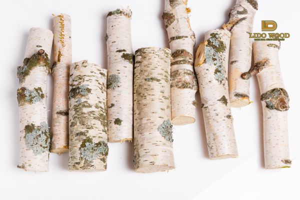 Giới thiệu về gỗ bạch dương Trung Quốc